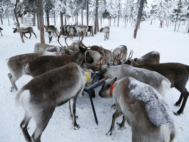 Photo: Christian Nilsson