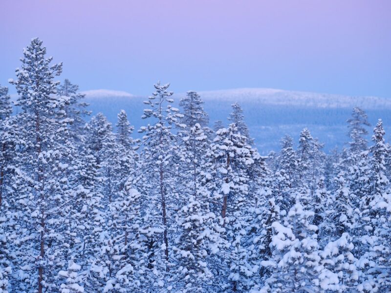 Ritni – Snöäventyr i Sápmi – 4 dagar