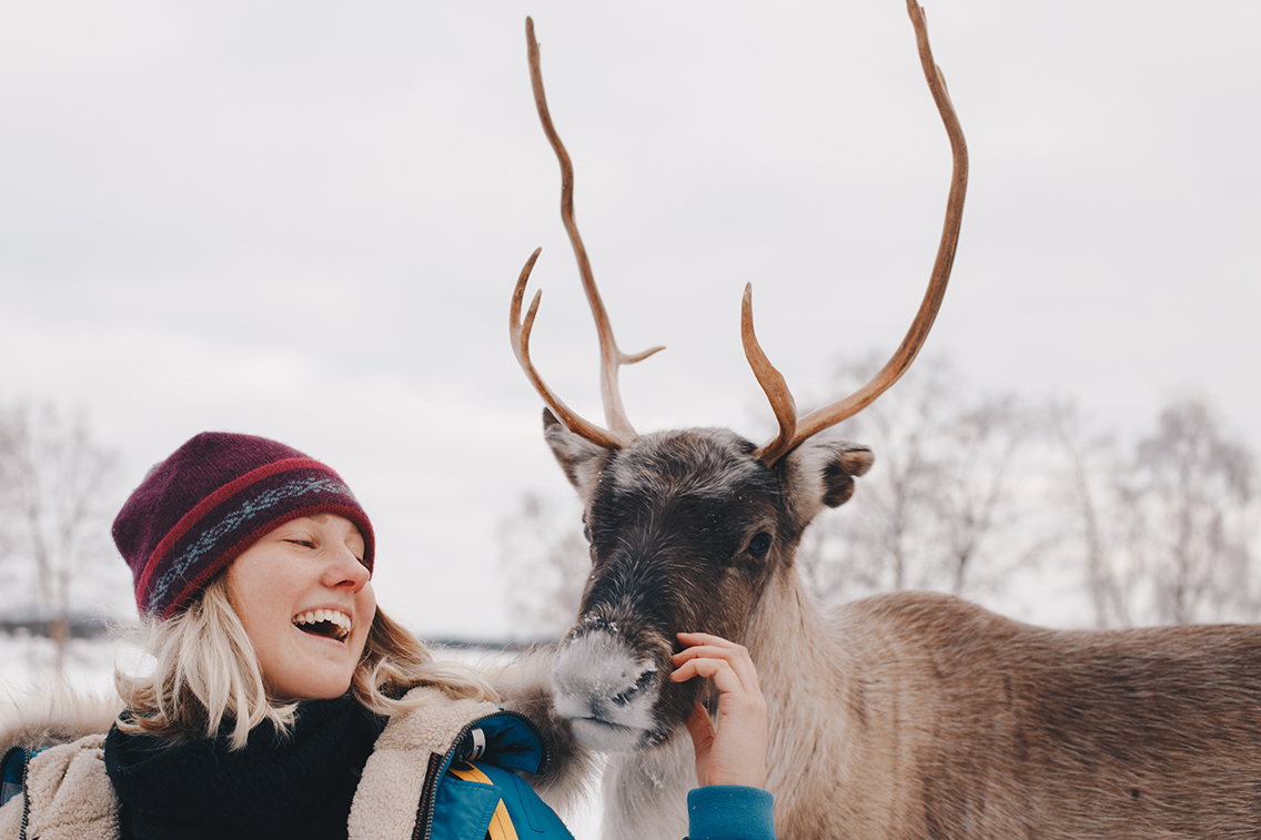 Tourist meeting reindeer