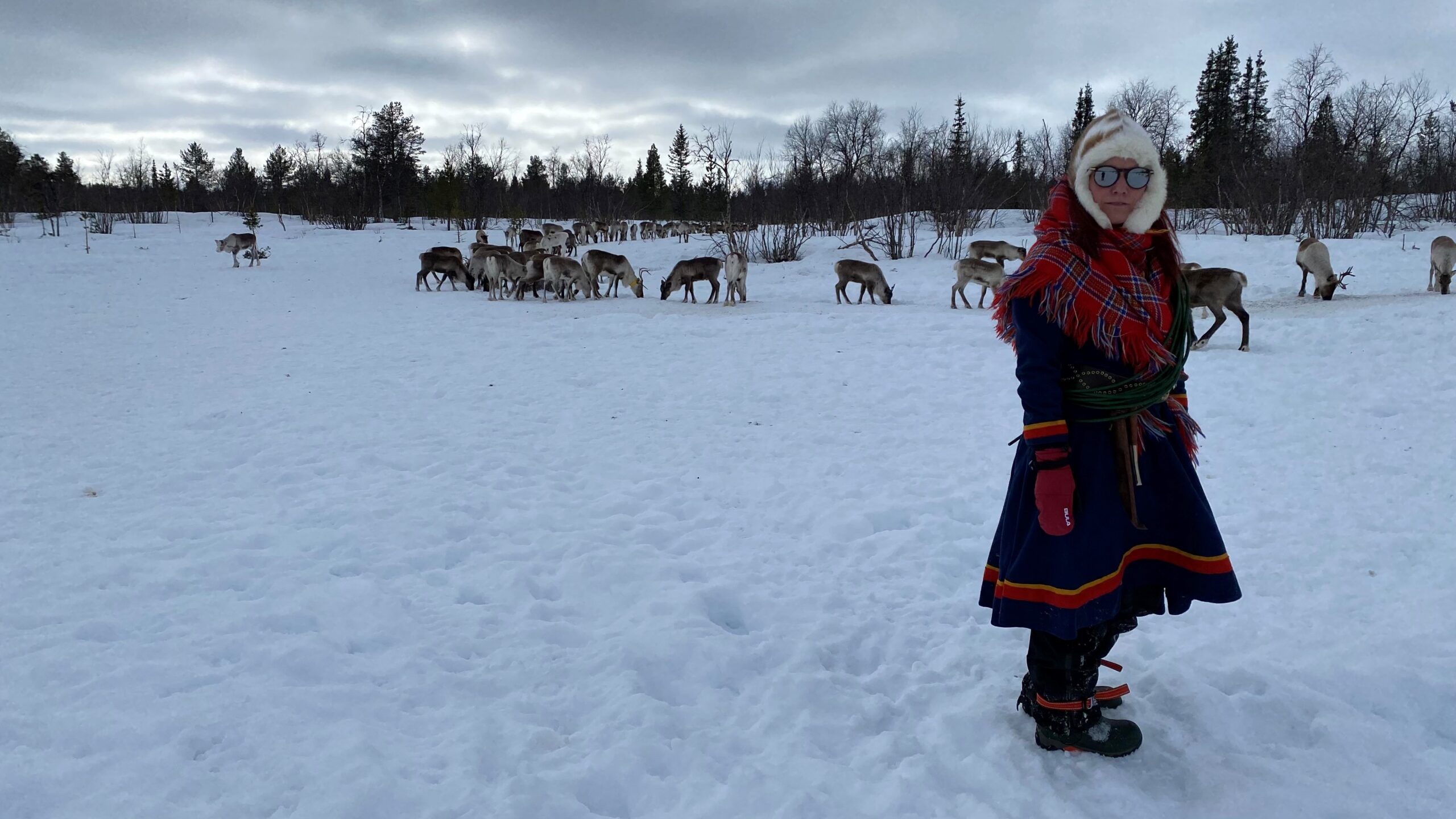 en kvinna i samiska kläder med renar i bakgrunden